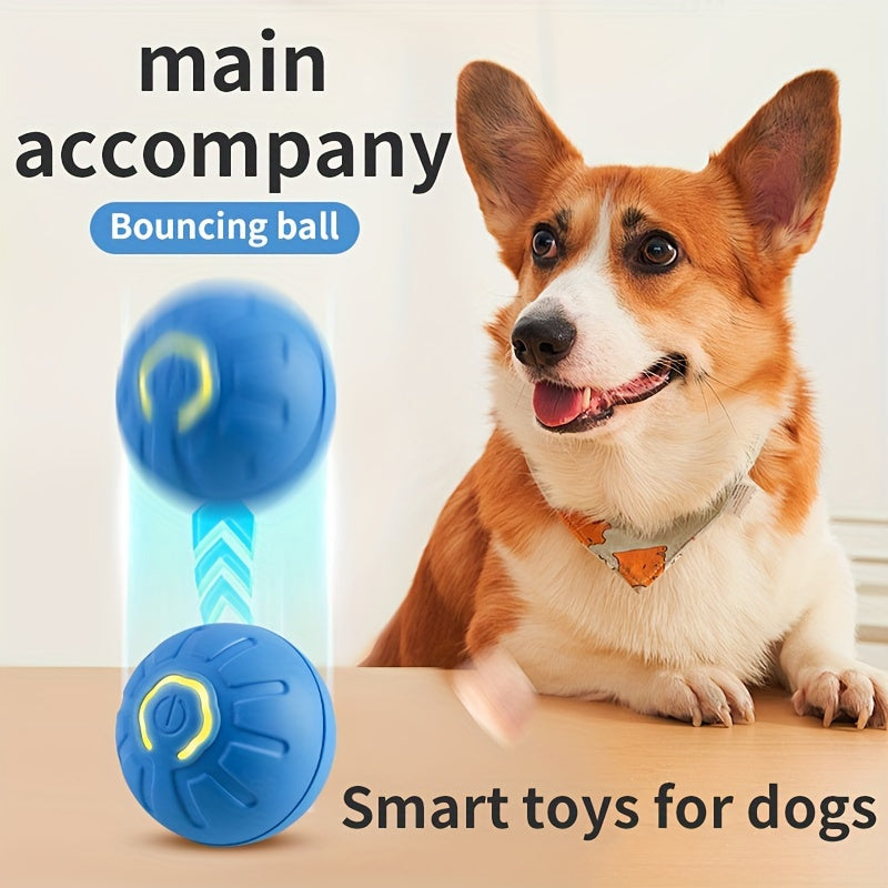Interactive Dog Toy with LED Light Rechargeable Plastic Small Medium Breed