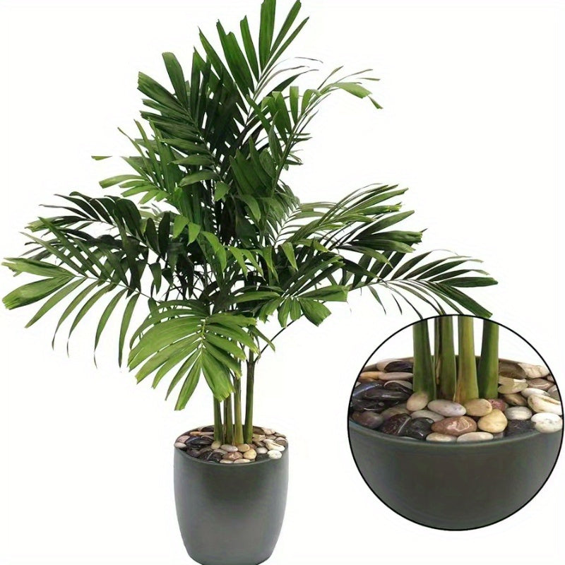 500g Natural Stone Pebbles for Aquarium Garden Landscaping White Black Brown Gray