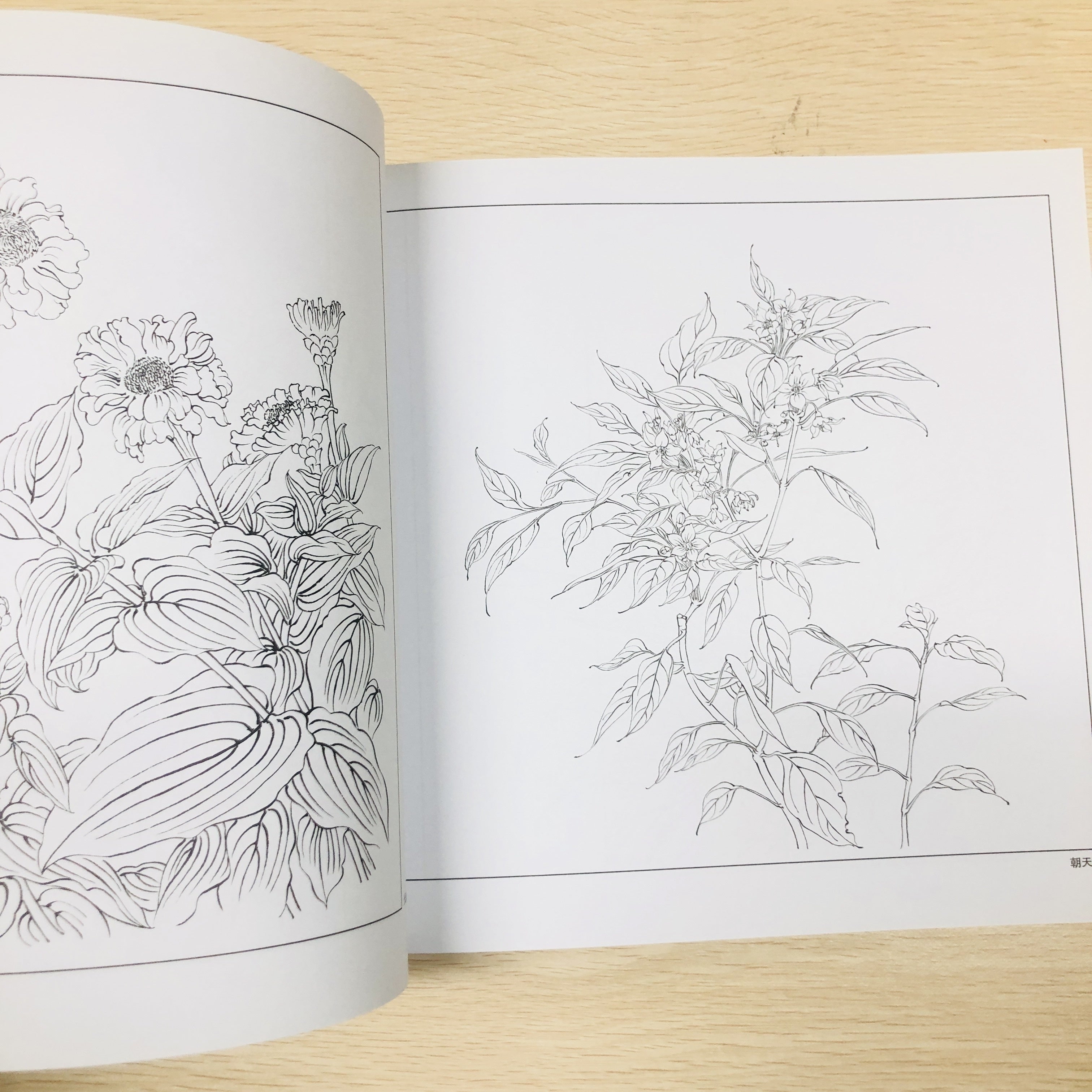 Chinese Painting Techniques Book for Beginners with Fresh Flowers Calligraphy Still Life Art Photography in Simplified Chinese