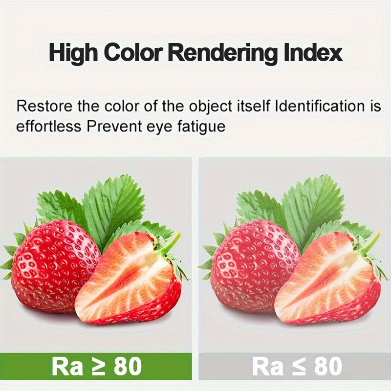 24V LED Light Strip 10 Meters Warm White Natural White Cold White SMT SMD for Home Kitchen Bedroom