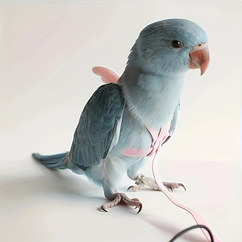 Adjustable Parrot Harness with Nylon Rope and 182.88cm Training Leash for Outdoor Flying