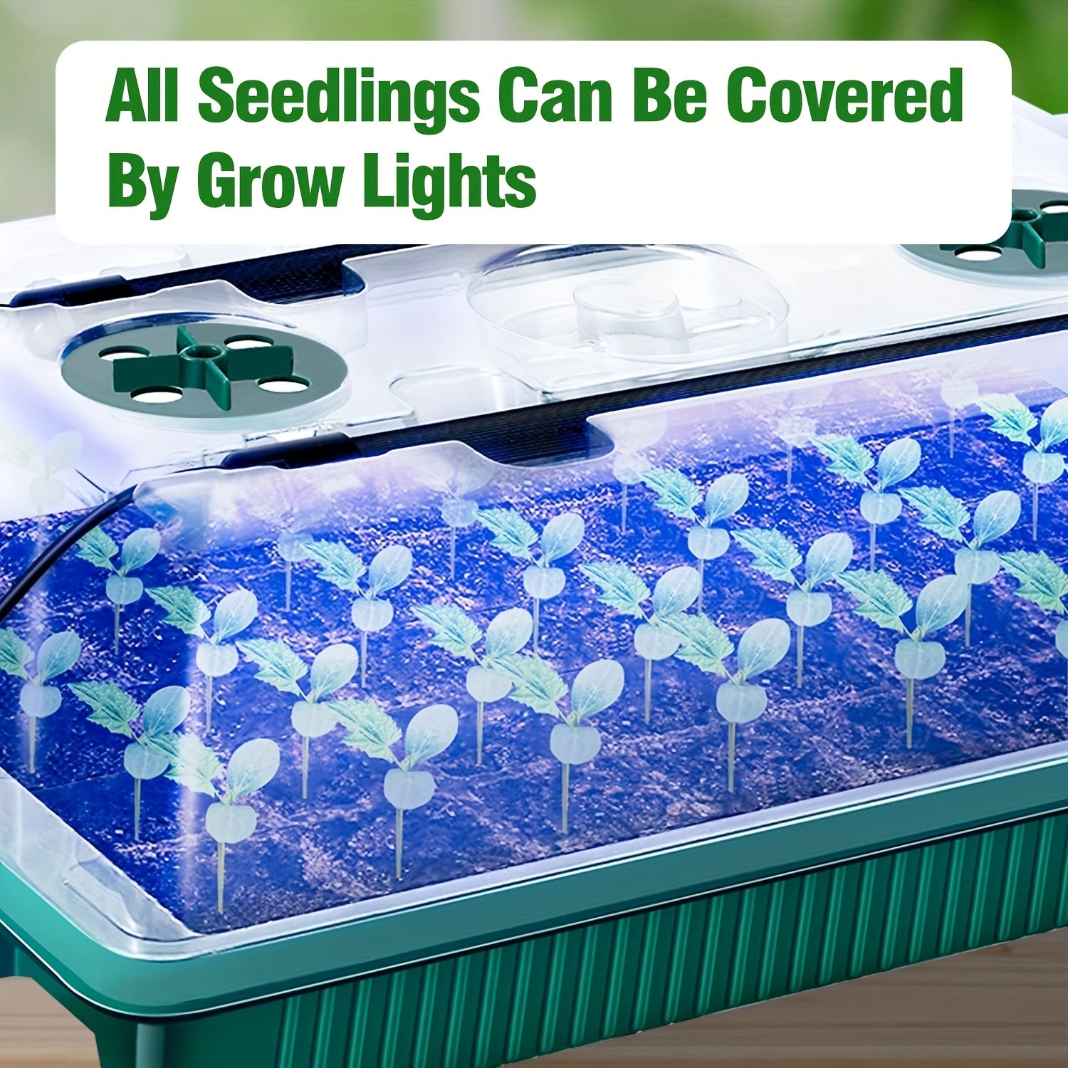 Seedling Starter Kit with 2 Trays High Dome 80 Cells LED Grow Lights Timer