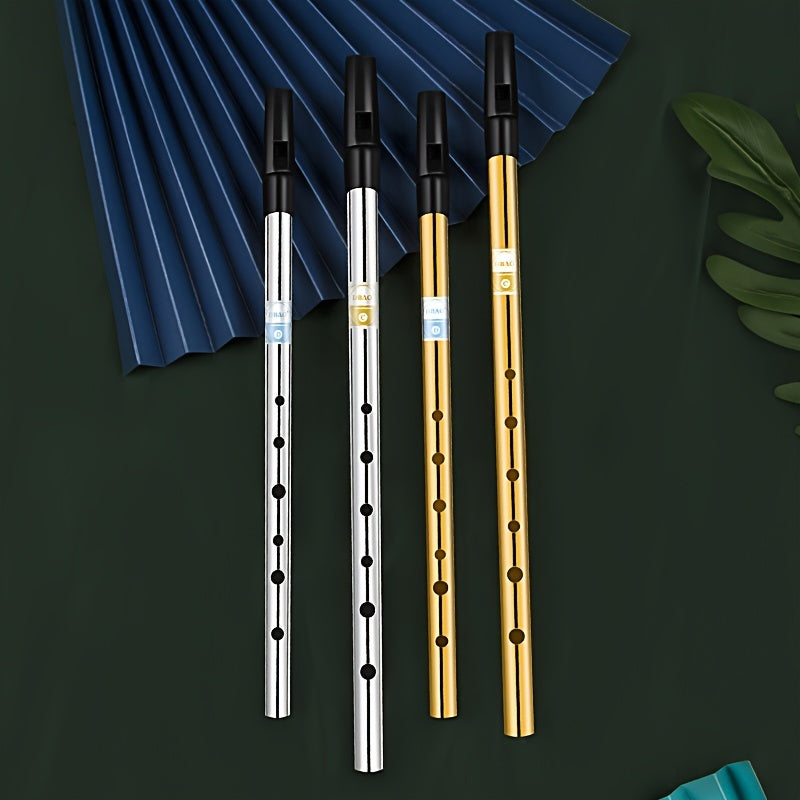 Alüminiy irlandiyalik ohang cho‘qqisi, C/D kalitida, 6 teshik va quti bilan