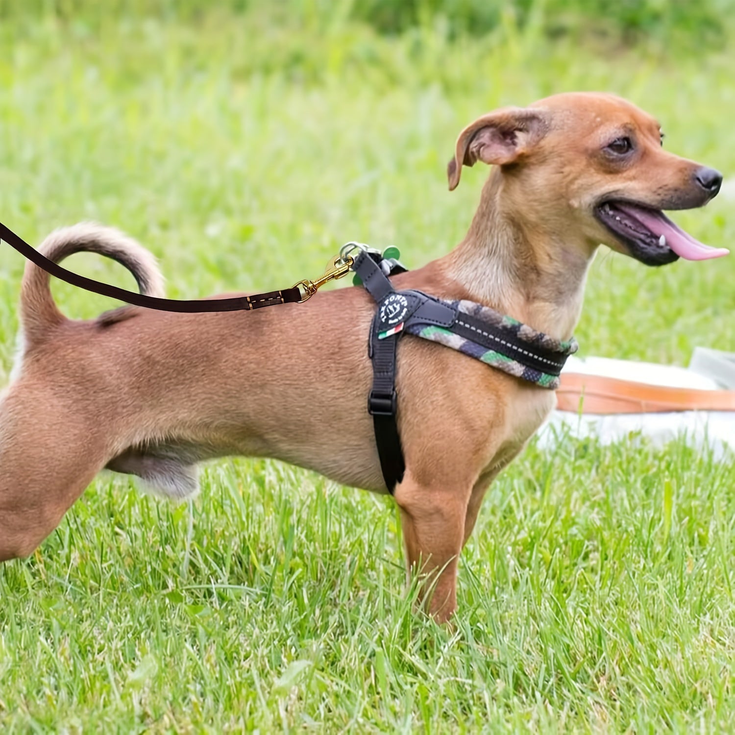 Kichik va o'rta zotli itlar uchun yuqori sifatli it bog'i, yumshoq va qulay dizayni bilan, zamonaviy oltin metall tutqichi bilan. Qora, jigarrang, qizil va yashil rang variantlarida mavjud. Ideal