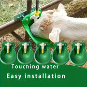 Small Animal Feeder and Waterer for Goats and Sheep 1 3 5 Pack Automatic Drinking Tank