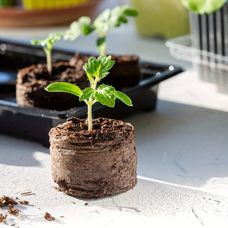 Iniciador de semillas de fibra de planta 20/50/100 para el crecimiento de plántulas, plantas herbáceas, verduras y flores