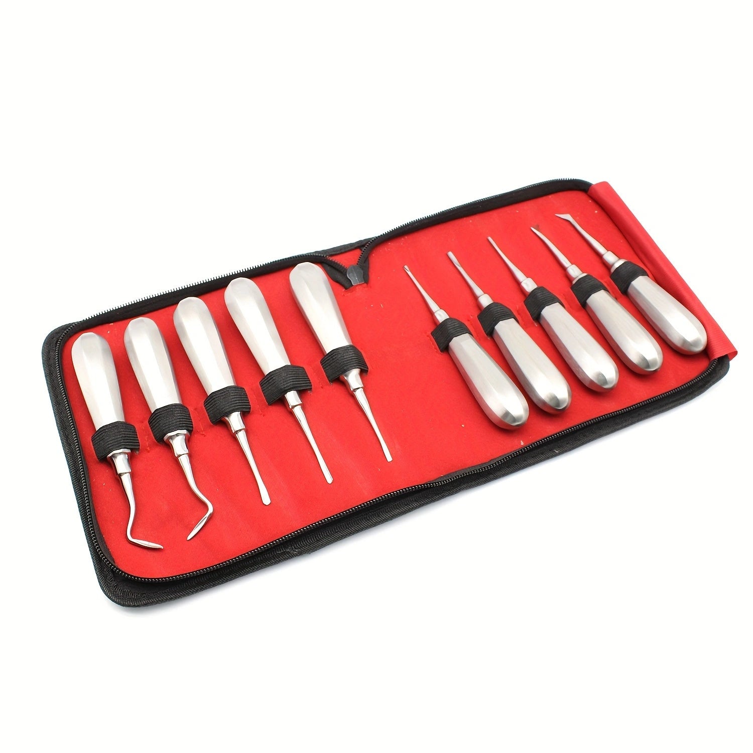 Dental Extraction Tools Set of 10 Stainless Steel Root Tip and Nail Stabilizer Instruments
