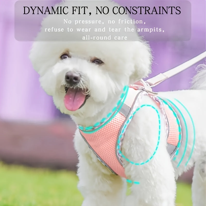 Breathable Pet Harness with Leash No Pull Puppy Walking Set Polyester Adjustable