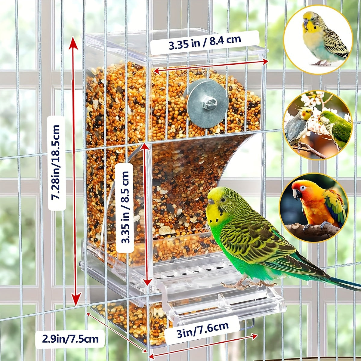 ClearView Automatic Bird Feeder for Small Birds No-Spill Transparent Plastic