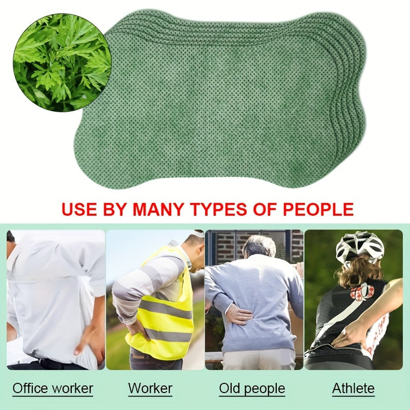 12 Yashil suyak lumbar plashlari yelka, bo‘yn, qo‘l, orqa, oyoq uchun