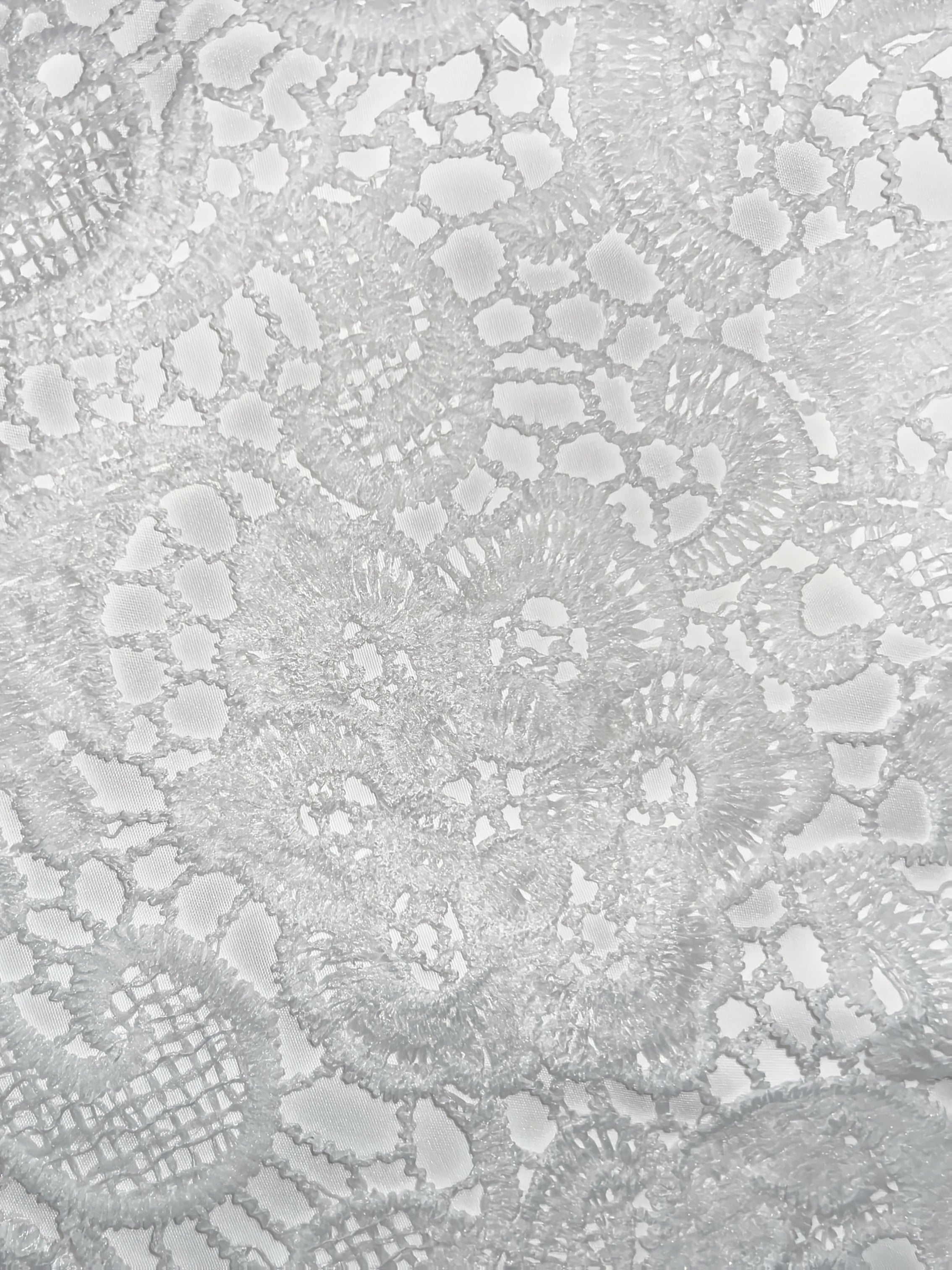 Women's Lace Shorts Solid Color Elastic High Waist Spring Summer