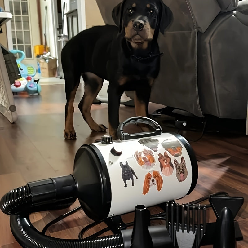 Aookupett Professional Dog Hair Dryer - O'zgaruvchan issiqlik va tezlik bilan yuqori quvvatli blowyer, aniq parvarishlash uchun 4 ta nozzle bilan birga.