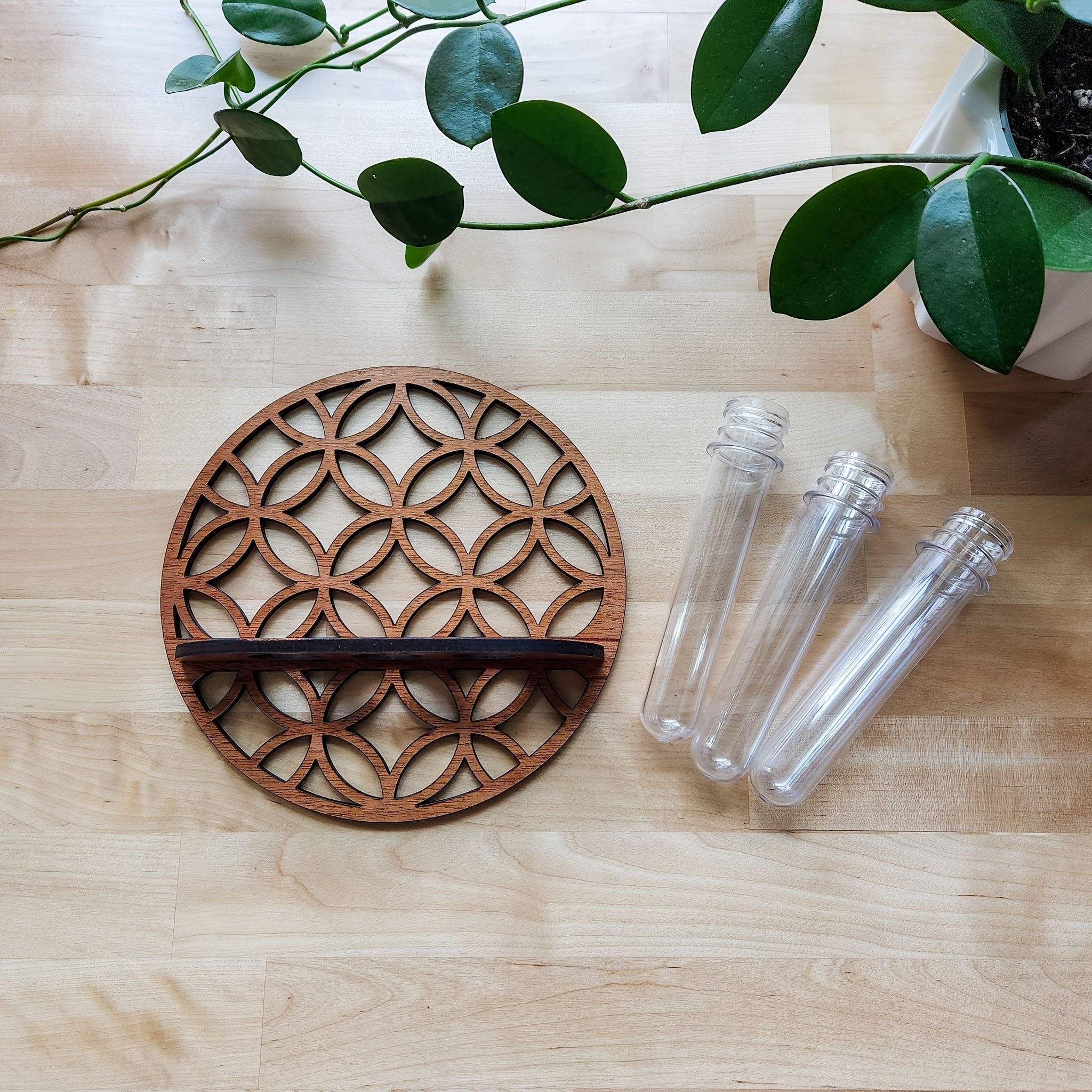Estación de propagación de pared con 3 tubos de ensayo para esquejes de plantas decoración del hogar