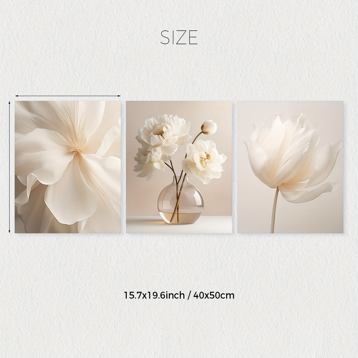 Set of 3 White Peony Flower Wall Art Prints Canvas Modern Minimalist Neutral Decor