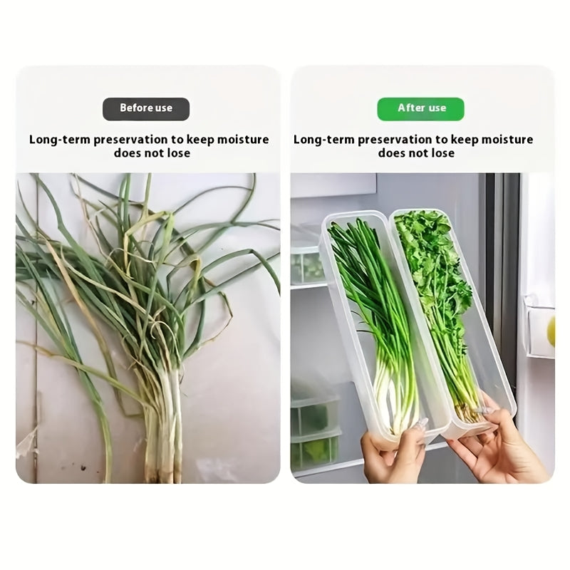 Plastic Food Storage Containers for Herbs Green Onions Mint Leakproof Stackable