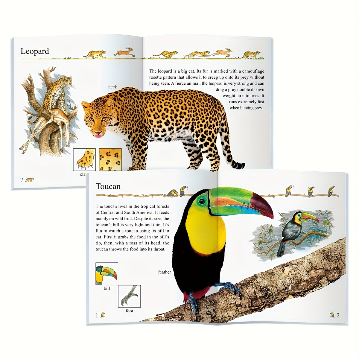 Set of 10 Children's Educational Books for Kids Ages 3 and Up