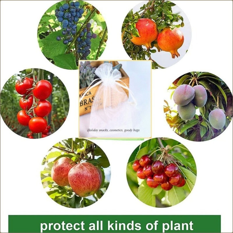 40 High-Quality Sheer Organza Drawstring Bags for Party Favors Jewelry Packaging