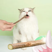 8pcs Natural Wooden Cat Chew Sticks for Teeth Health and Oral Care