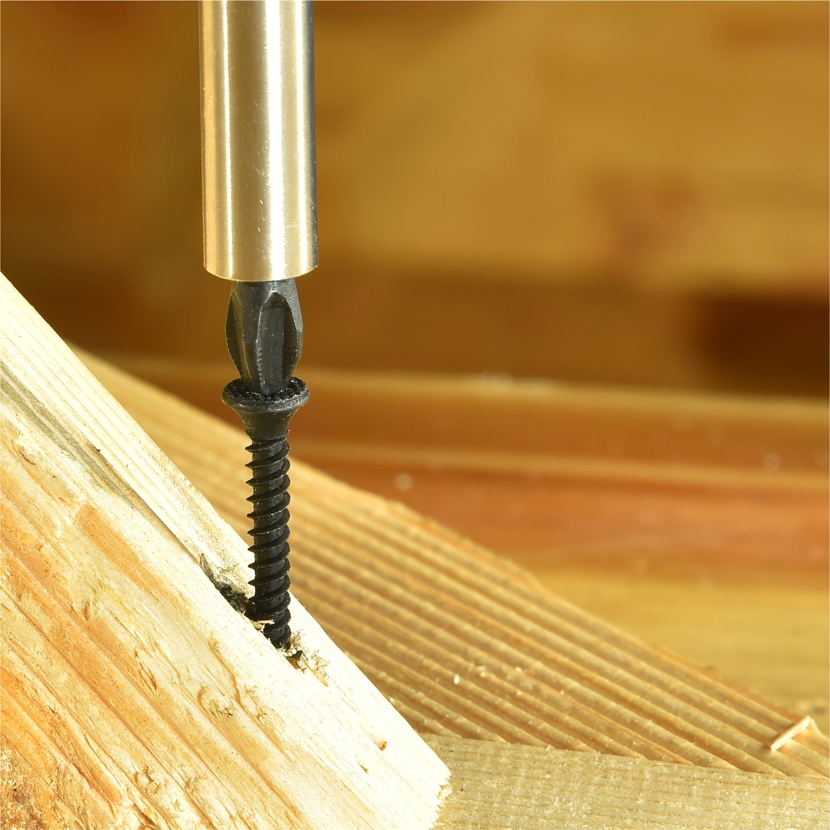 Impact Phillips Screwdriver Bits 50mm 5/10/20pcs for Wood Metal Plastic