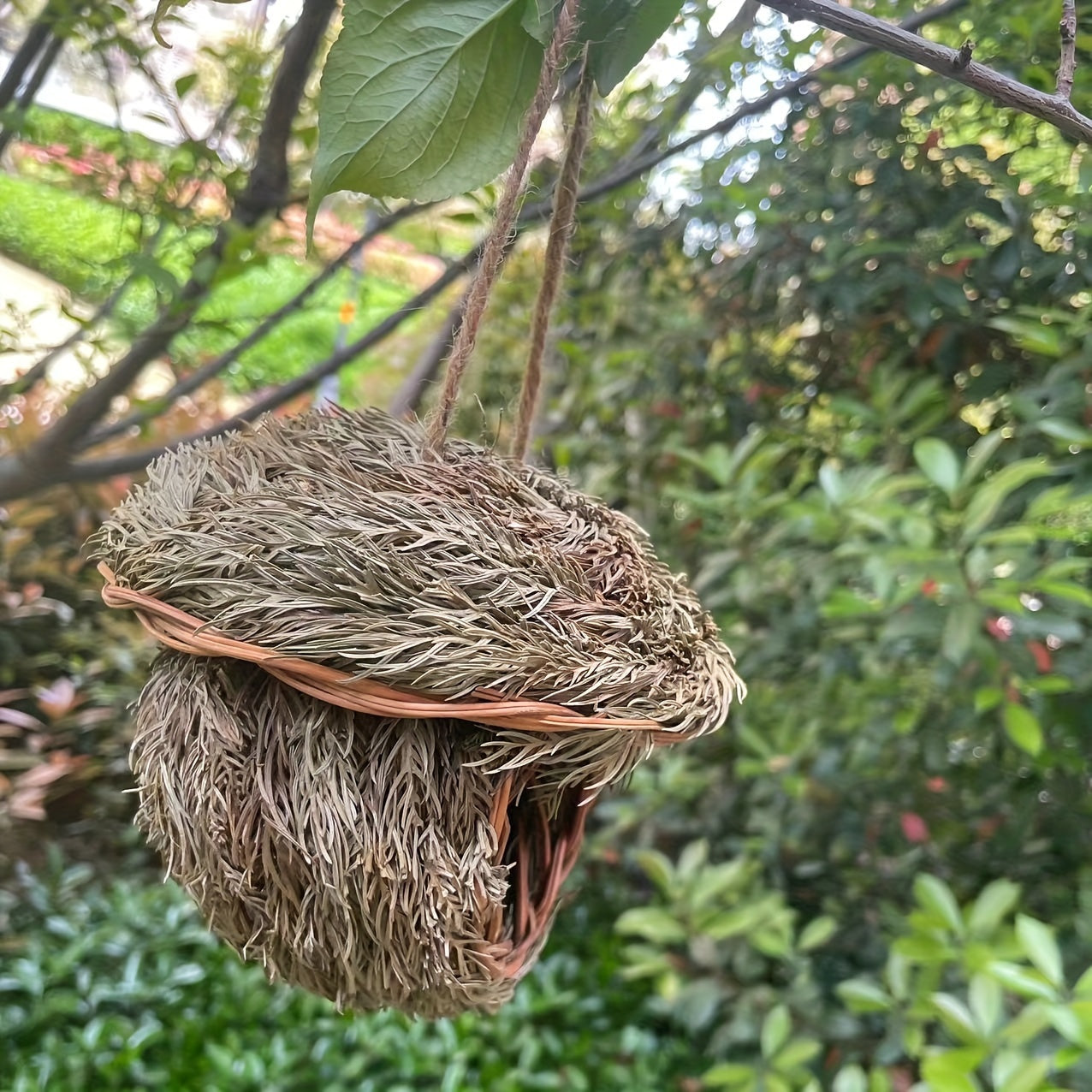 Handmade Grass Bird Nest Woven with Pine Needles for Small Birds and Pets Round Bird House