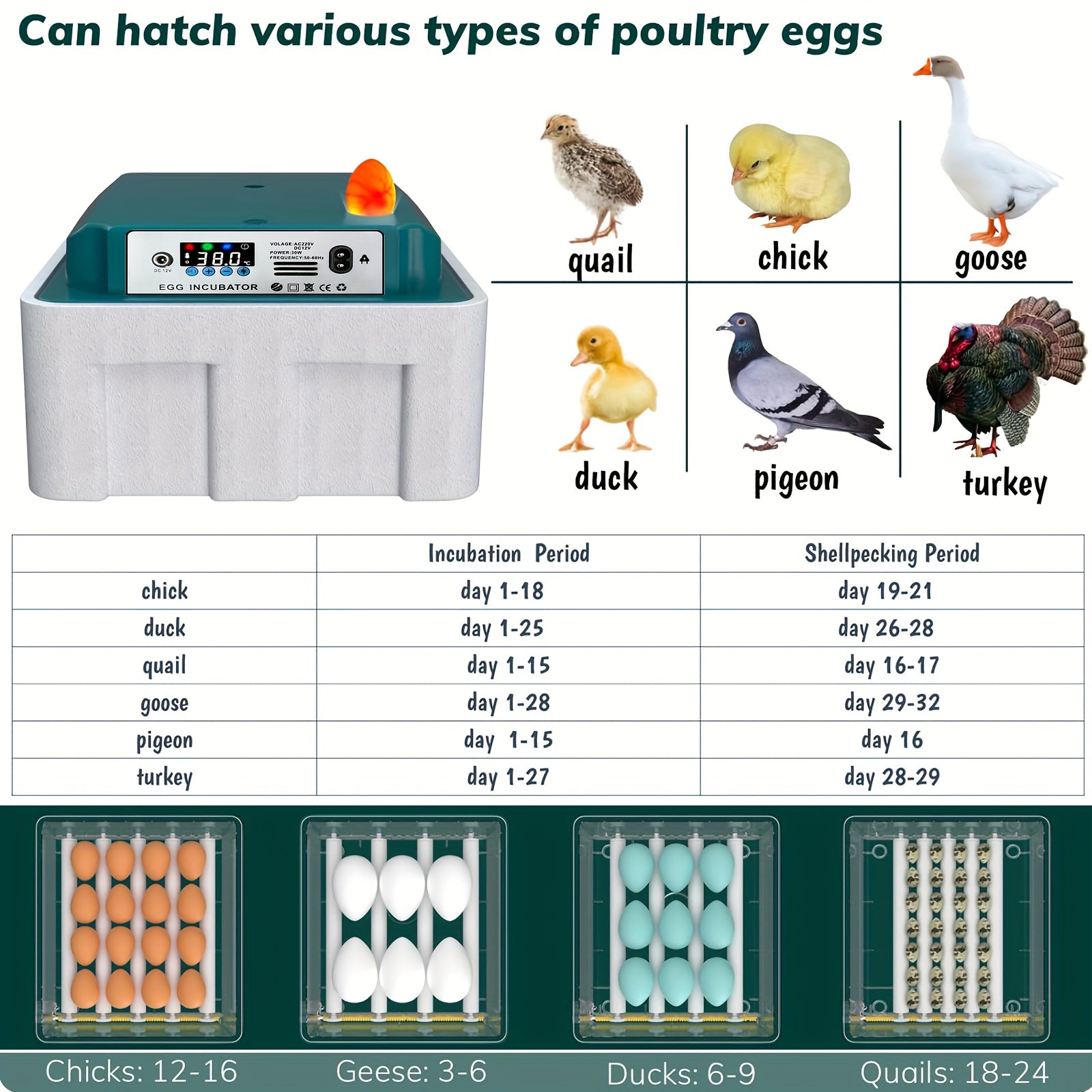 Avtomatik tuxum inkubatorlari 12-16 tuxumni saqlaydi, avtomatik aylantirish, suv to'ldirish, LED displey, ichki foydalanish uchun