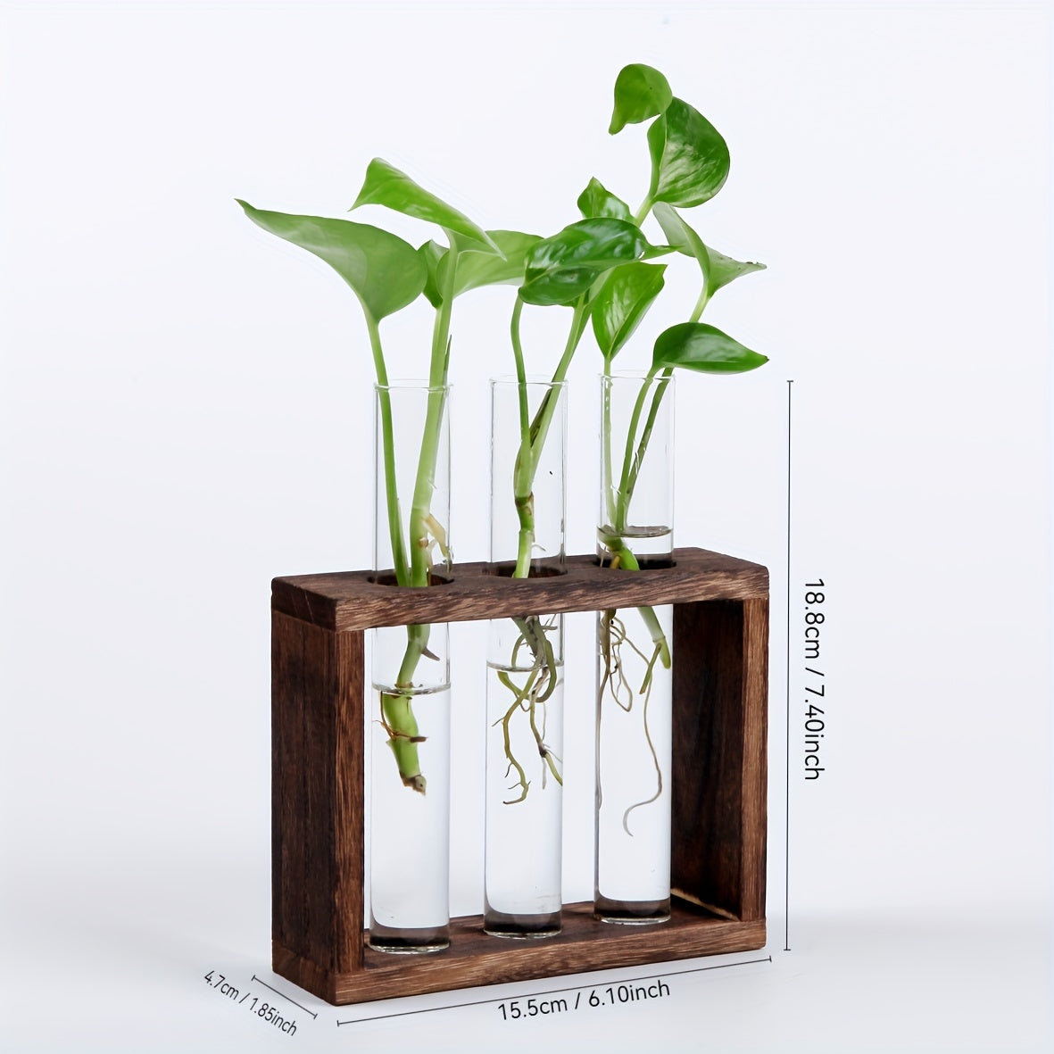 Glass Plant Container with Wooden Stand and Test Tubes for Hydroponic Indoor Gardening
