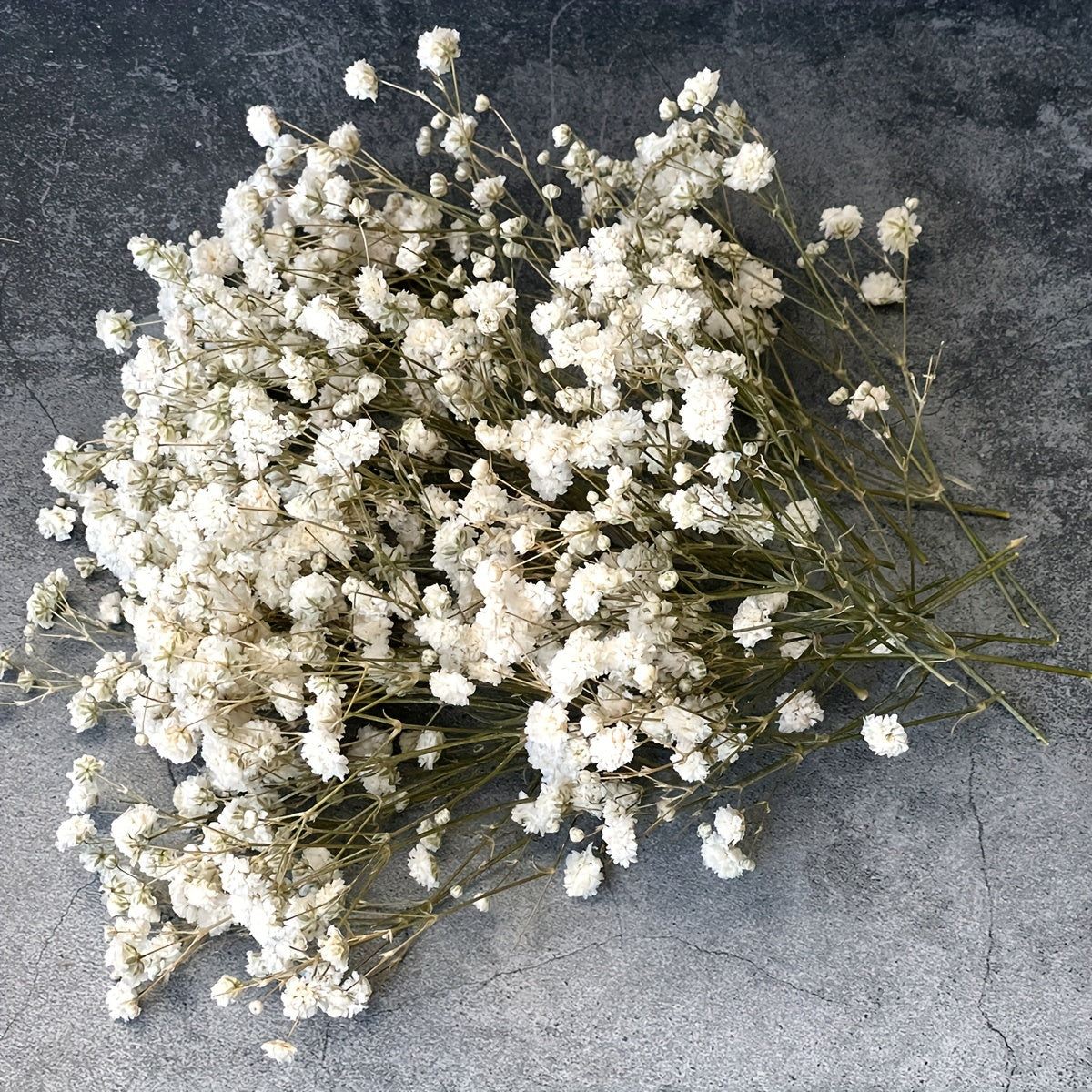 Белые мини-сухие букеты цветов г baby's breath - идеально подходят для свадеб, домашнего декора, вечеринок и DIY-проектов. Поставляются с нежной вставкой из слоновой кости для легкой компоновки. Идеально подходят для открыток и цветочных композиций.