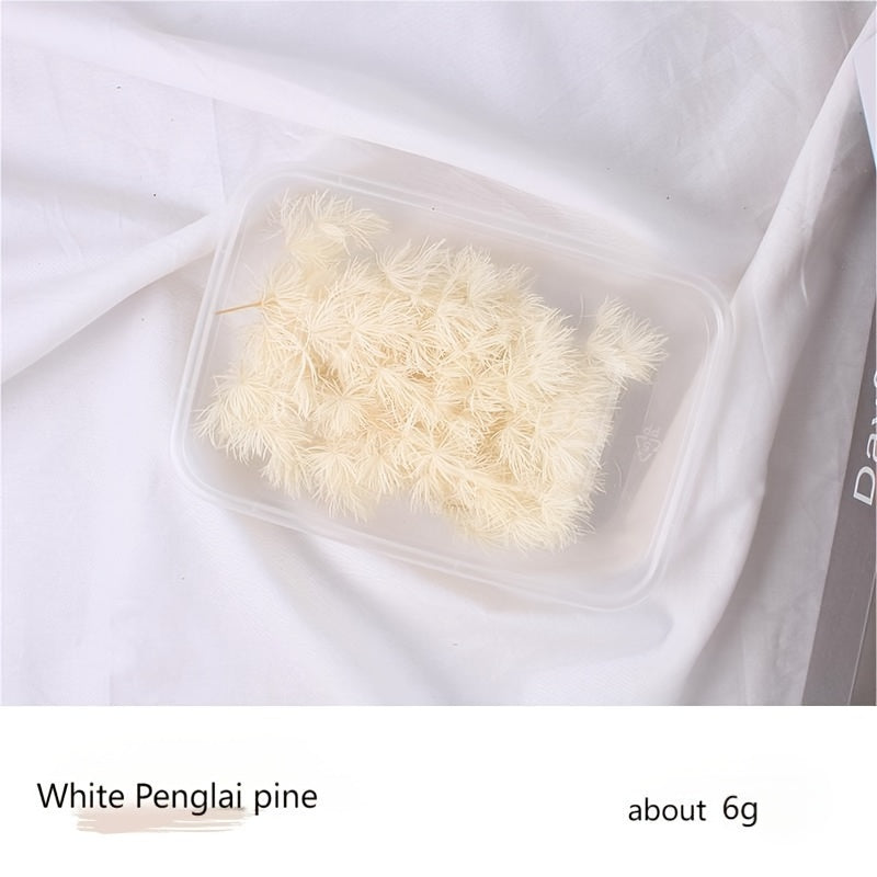 Бохо-Шик Рождественский Набор для Ремесел: Натуральный Растительный Декор для DIY Проектов, Венков и Подарков