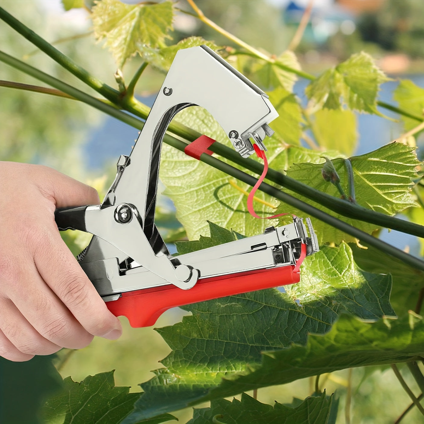 Plant Tying Machine for Grapes Raspberries Tomatoes Vining Vegetables Flowers