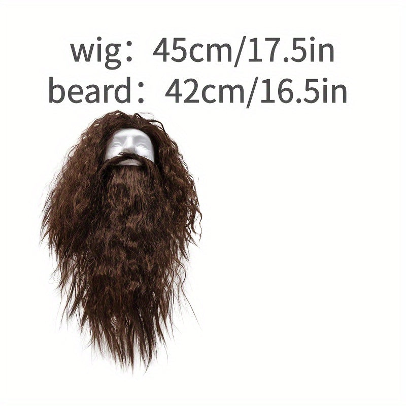 Wizard Costume Set with Gray Synthetic Hair and Beard for Halloween Cosplay