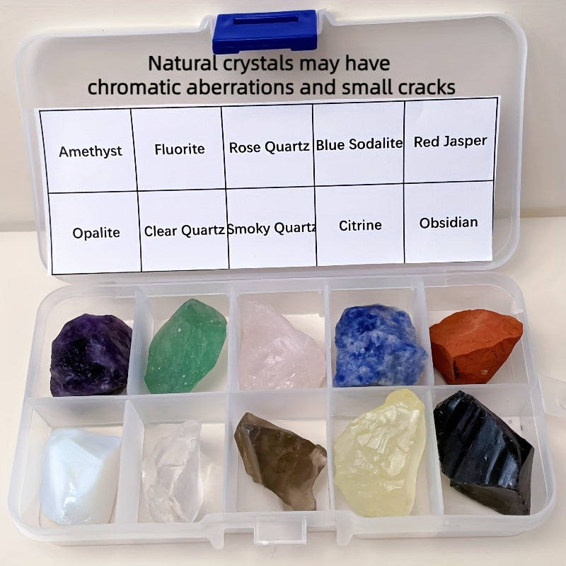 Juego de 10 rocas y minerales naturales en una caja