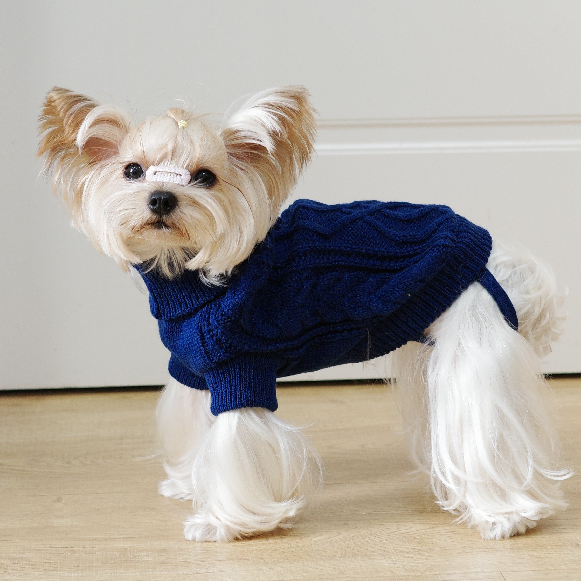 Knit Dog Hoodie with Floral Design All-Season Pullover for Small to Large Breeds