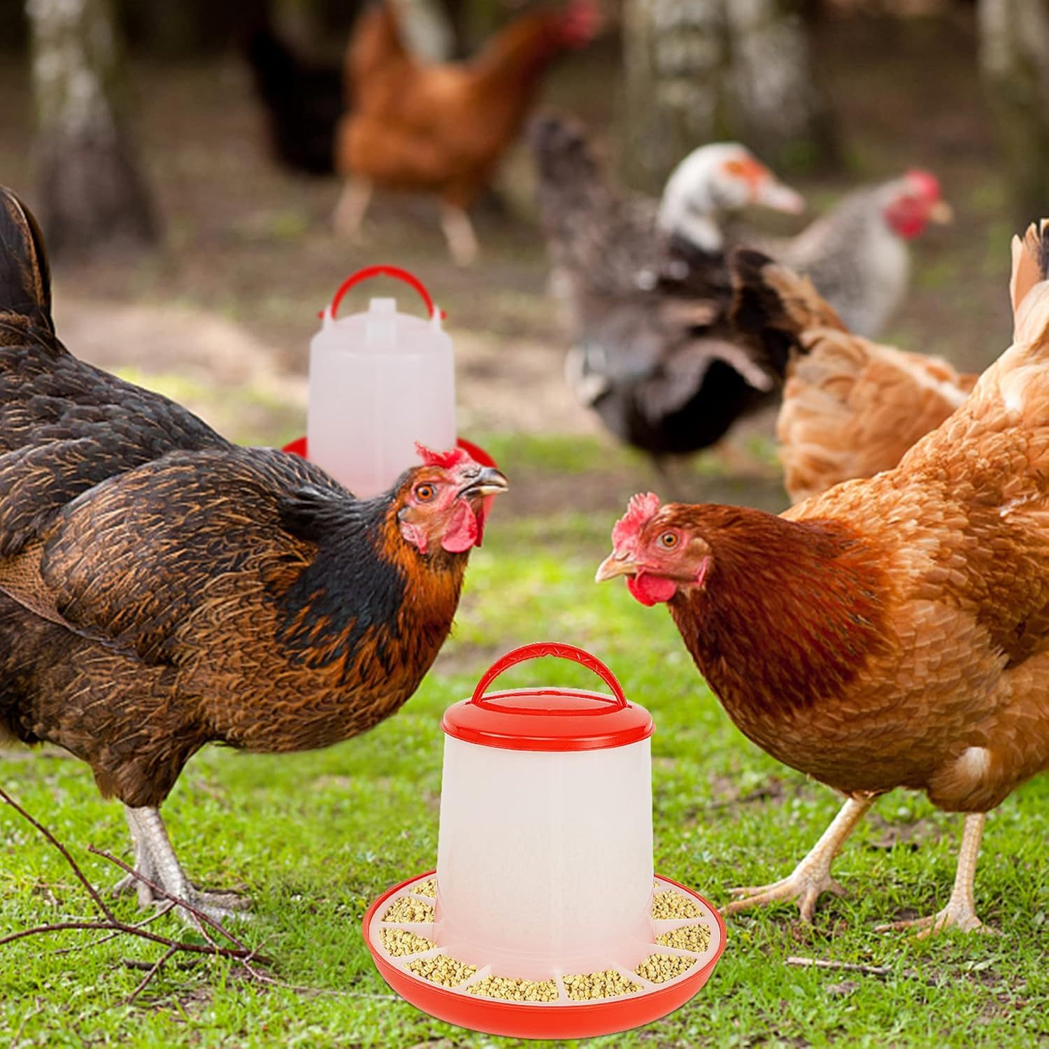 2-Pack Plastic Poultry Feeder and Waterer Set for Chickens 453.59g Feed 1.5L Water