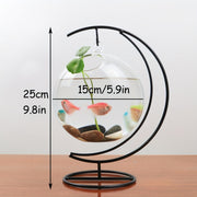 Round Glass Fish Tanks for Betta Fish and Home Decor Set of 2