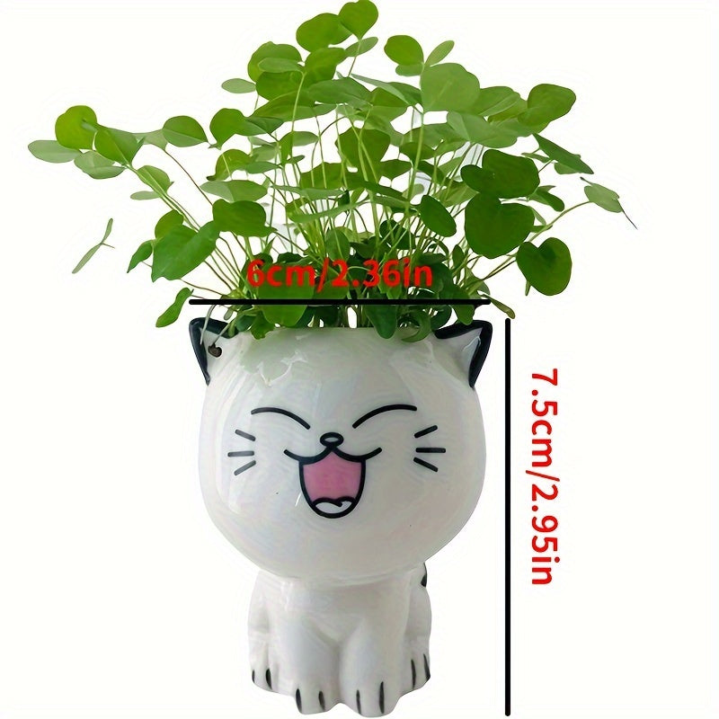 Mini Ceramic Cat-Shaped Flowerpot for Desk Decoration and Science Education Gift