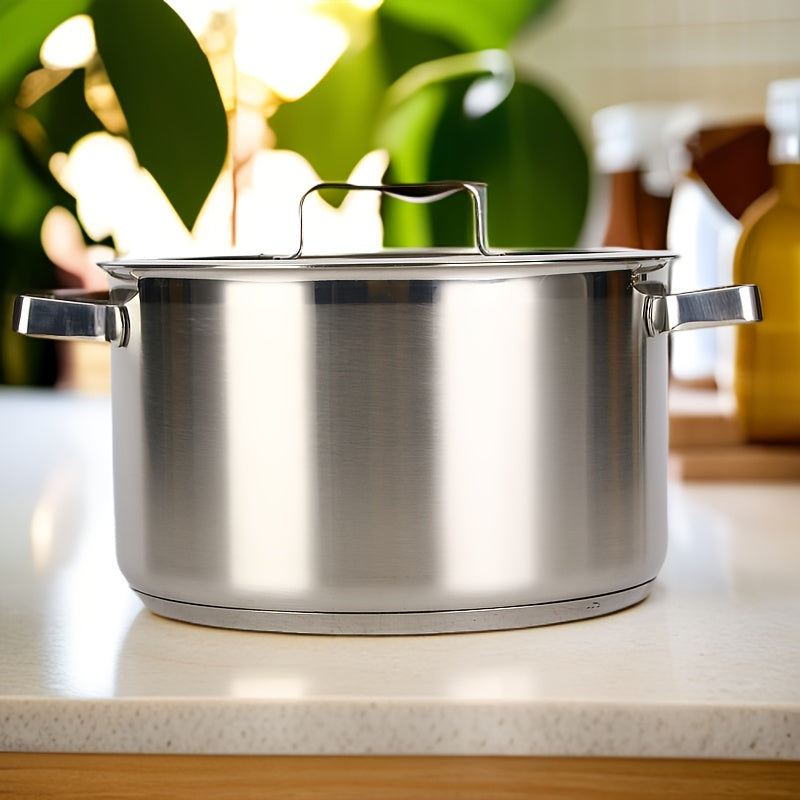 Olla de acero inoxidable de doble oreja de 24cm para guisar y cocinar