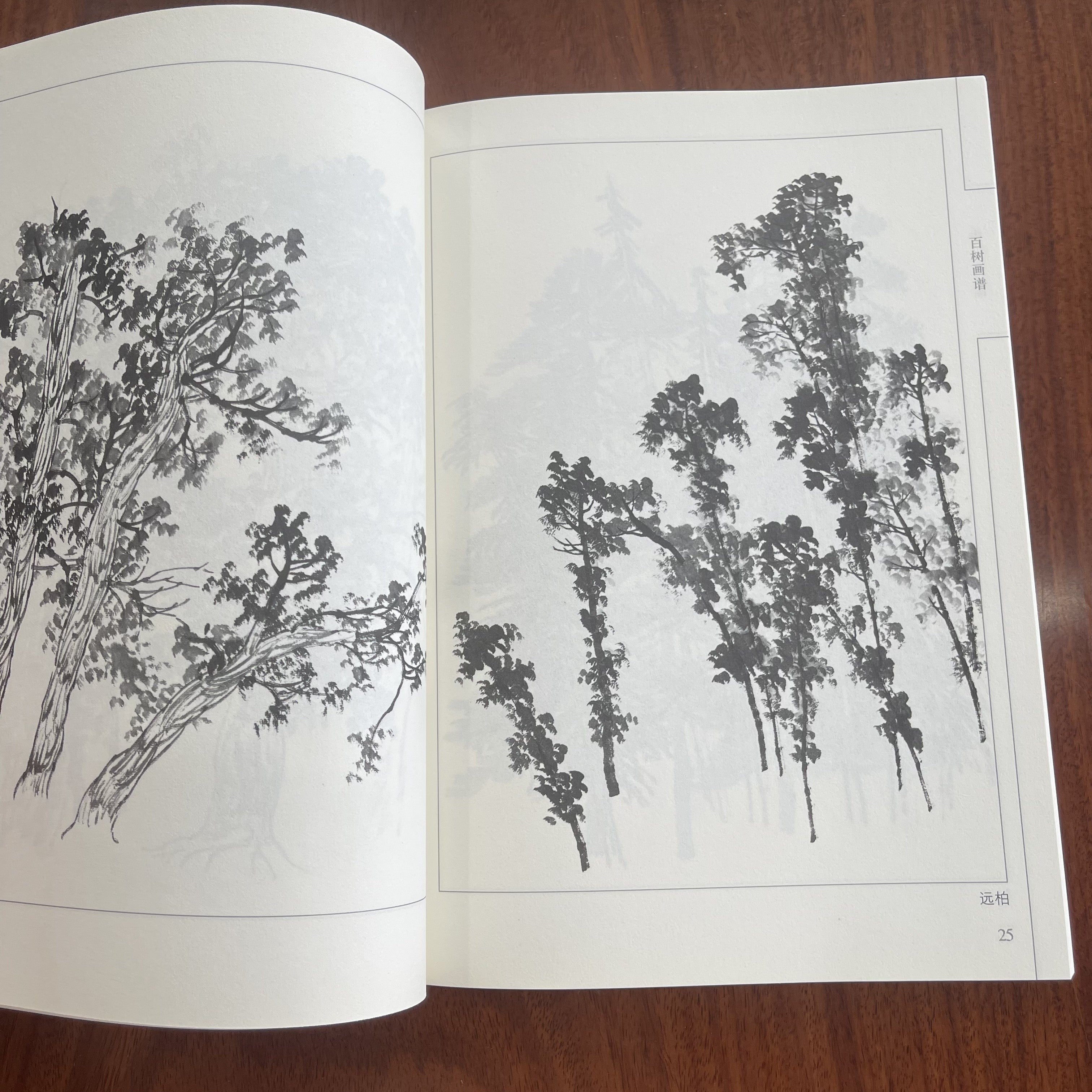 Chinese Ink Drawing Book of 100 Tree Line Art for Children Paperback