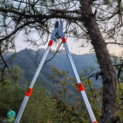 Tijeras de poda telescópicas para ramas altas y setos, hoja de acero aleado, mango ergonómico