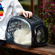 Breathable Foldable Cat Backpack Carrier with Footprint Design and Transparent Window