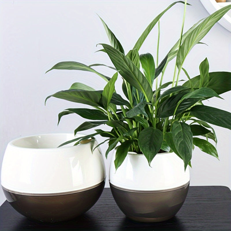 Modern Self-Watering Planter Round Plastic Indoor Outdoor Low-Maintenance