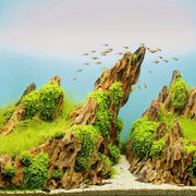 Natural Dragon Stone Aquarium Decor Rock 1kg 2kg Fish Shelter Aquascaping