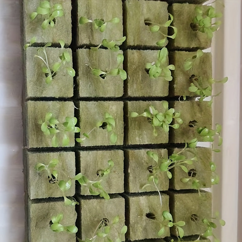 Hydroponic Seed Starter Cubes 100/50pcs for Soilless Seedling Cultivation Gardening