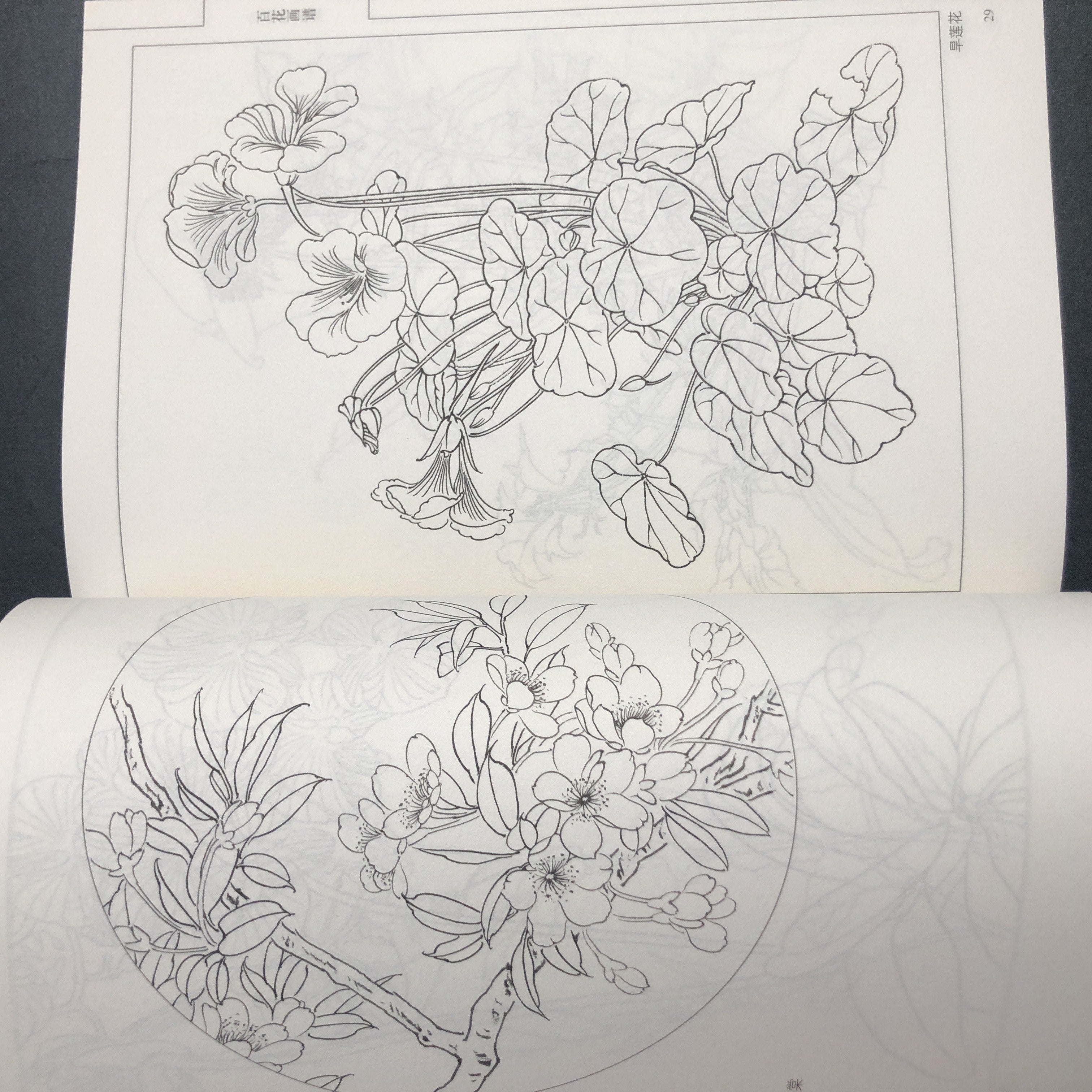 An'anaviy Xitoy Siyoh Gul Rassomi Qo'llanmasi. Xitoy Versiyasi.