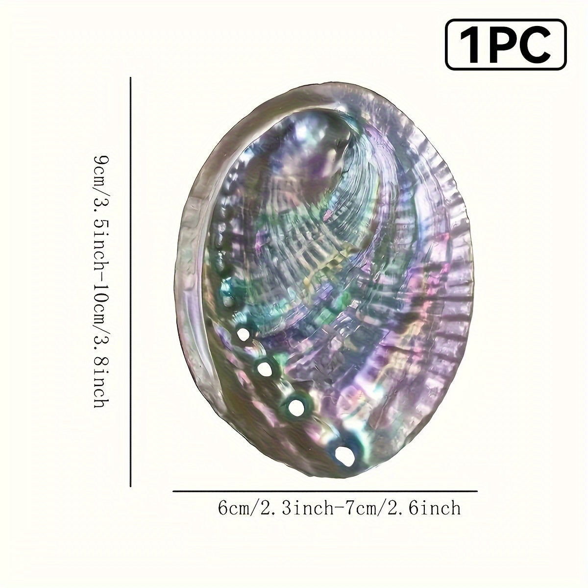 Large Abalone Shell Bowl for Smudging 9.65-11.94 cm