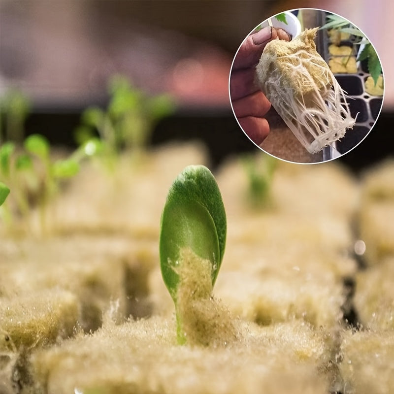 Hydroponic Grow Kit 50/100/200 Pieces Soilless Plant Sprouting System