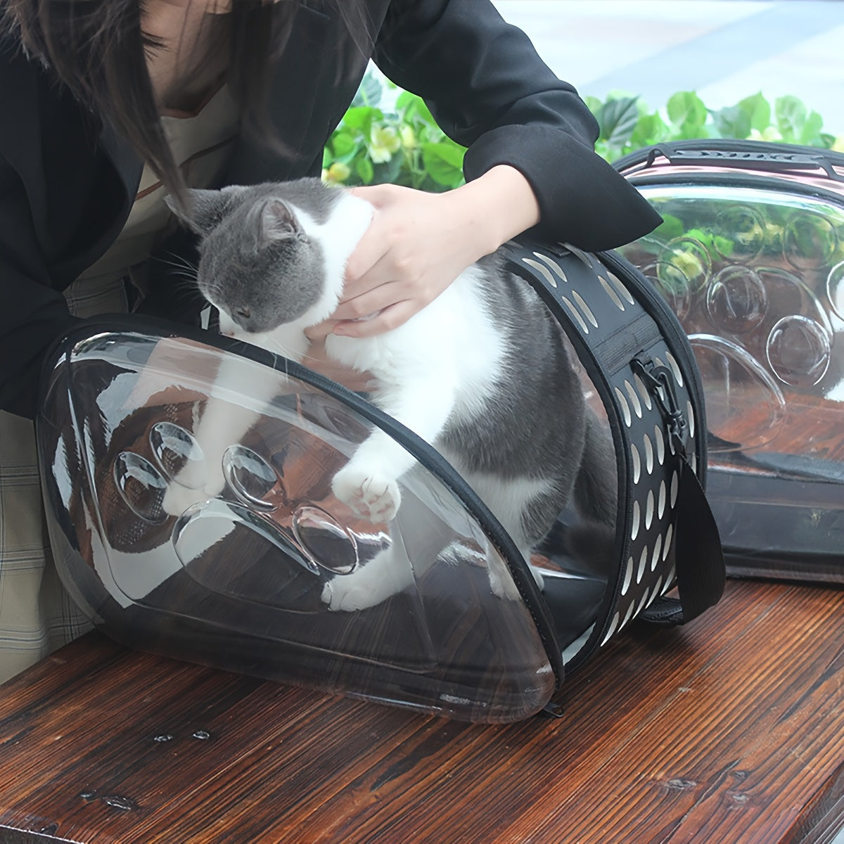 Breathable Foldable Cat Backpack Carrier with Footprint Design and Transparent Window