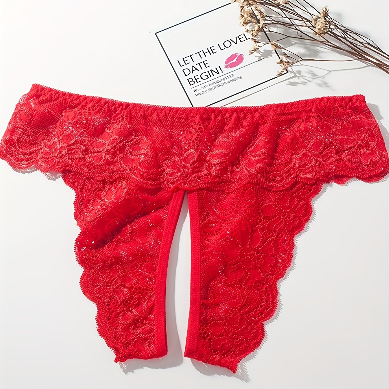 Women's Lace Trim Triangle Lingerie and Mesh Open Crotch Panties