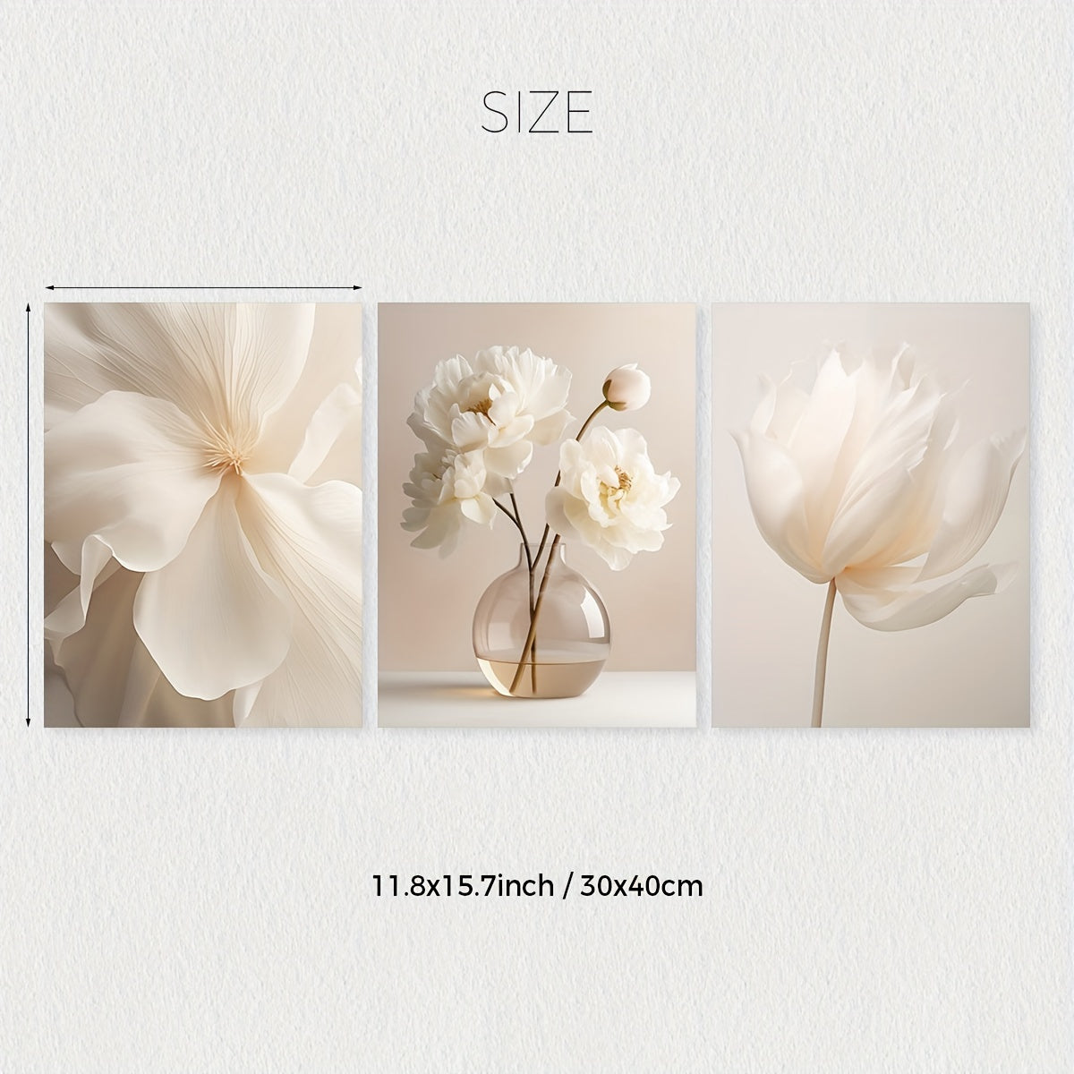 Set of 3 White Peony Flower Wall Art Prints Canvas Modern Minimalist Neutral Decor