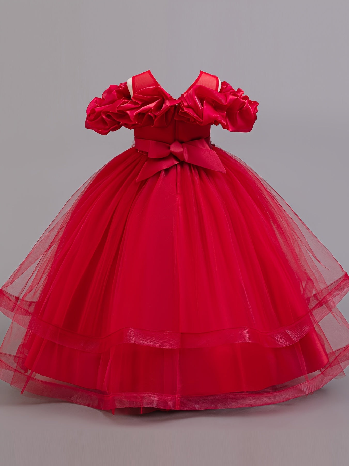 Girls Embroidered Mesh Ball Gown Dress for Parties and Holidays Long Length