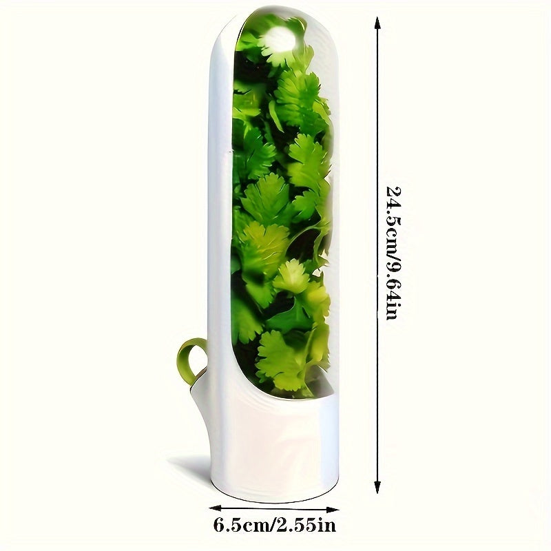 BPA-Free Plastic Herb and Vegetable Preserver with Easy-Open Water-Reducing Design
